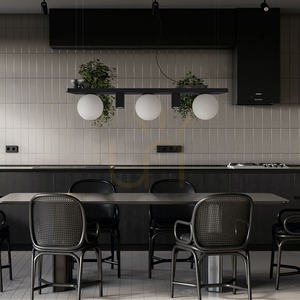 Závěsné svítidlo s policí Zuma Line PLANT 5555 SHELF, černé small 2
