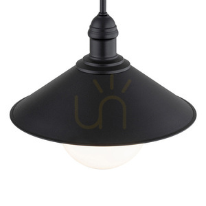 Venkovní závěsné svítidlo Argon ERBA BIS černé IP44 3285 small 2