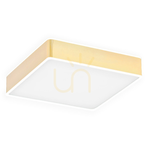 Kontrola Plafon ARGON Atlantis 4051 bílý mosazný LED 21W IP20