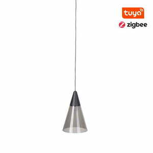 Přívěsek světla Max Light MAX M0015Z Zigbee černý 6W 12 cm 0 Přívěsek světla Max Light MAX M0015Z Zigbee černý 6W 12 cm small 0