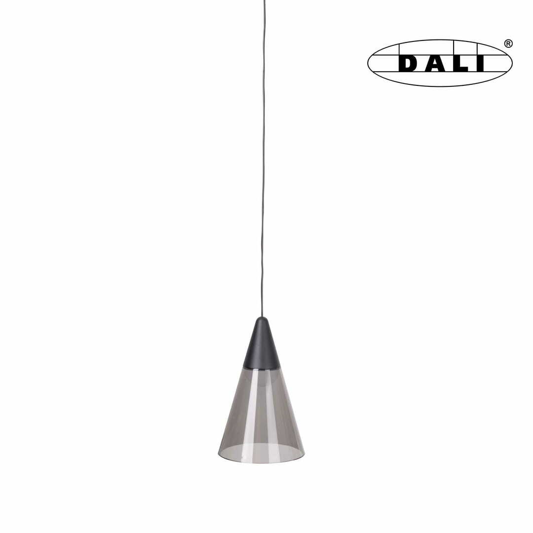 Kontrola Přívěsek světla Max Light MAX M0015D černý 6W 3000K DALI 12 cm Přívěsek světla Max Light MAX M0015D černý 6W 3000K DALI 12 cm