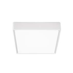 Plafond IP65 Plug220 12W 3000/4000K White Dali. small 1