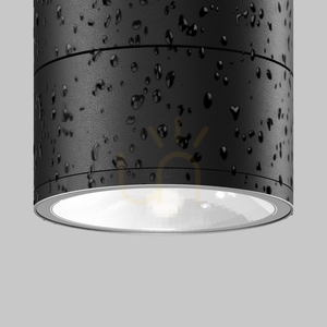 Venkovní plafony SPIN O310CL-L12GF3K IP54 Maytoni small 3