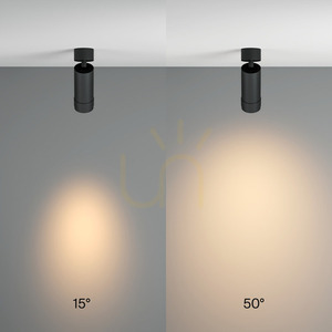 FOCUS ZOOM Plafond C055CL-L12W3K-Z-B Maytoni small 5