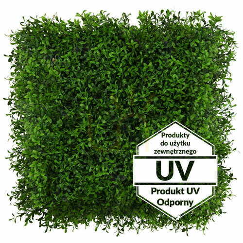 Kontrola Umělá zelená UV podložka Buxus 50x50cm