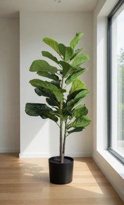 Umělý fíkus v květináči Green Designers GD 4720, 90 cm small 2