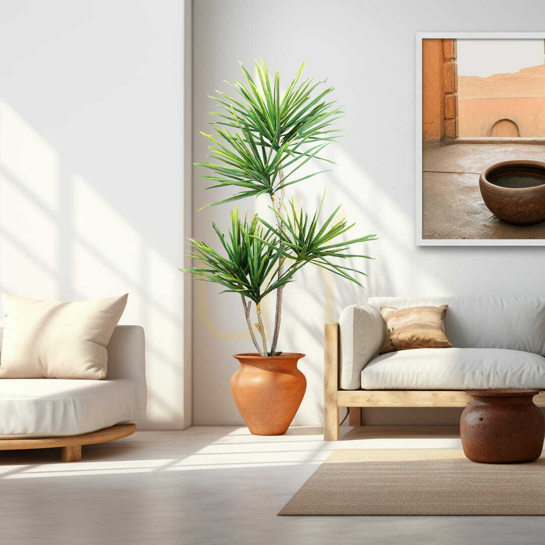 Pohled Umělá rostlina Dracaena 180cm Umělá rostlina Dracaena 180cm
