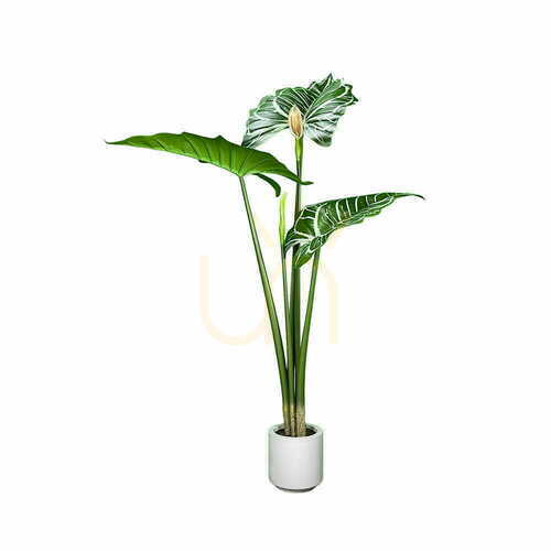 Kontrola Umělá rostlina Green Designers Alokázie 140 cm GD4042