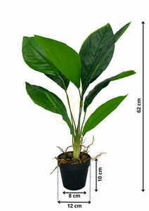 Umělá rostlina Aspidistra 62 cm 1 Umělá rostlina Aspidistra 62 cm small 1