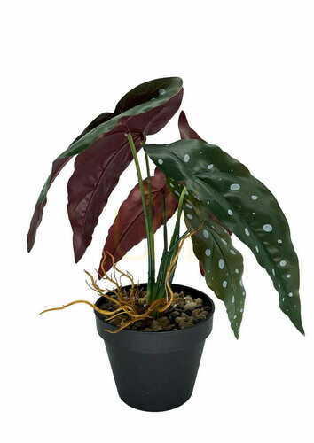 Kontrola Umělá rostlina Begonia Coral 36 cm