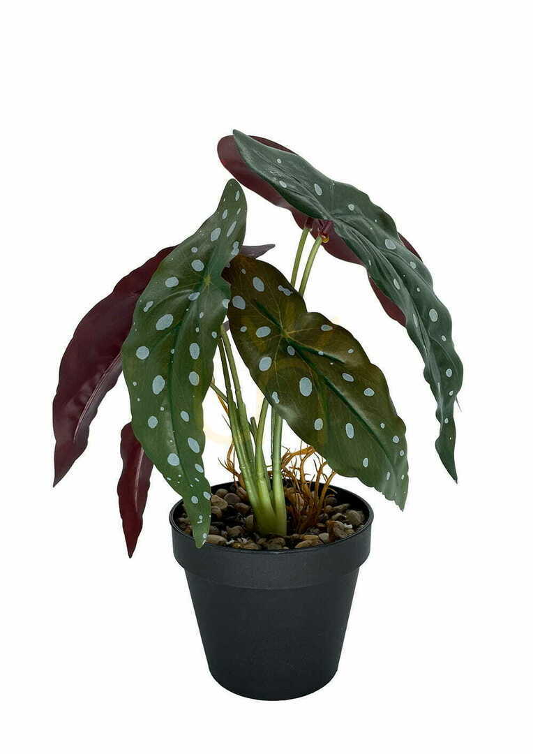 Umělá rostlina Begonia Coral 36 cm