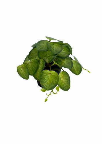 Kontrola Umělá rostlina Pilea 19 cm
