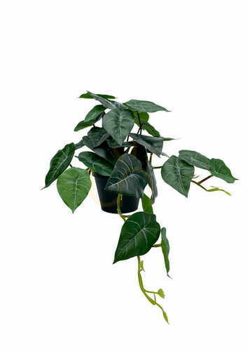 Kontrola Umělá rostlina filodendron 37 cm