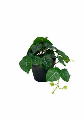 Kontrola Umělá rostlina filodendron 20 cm
