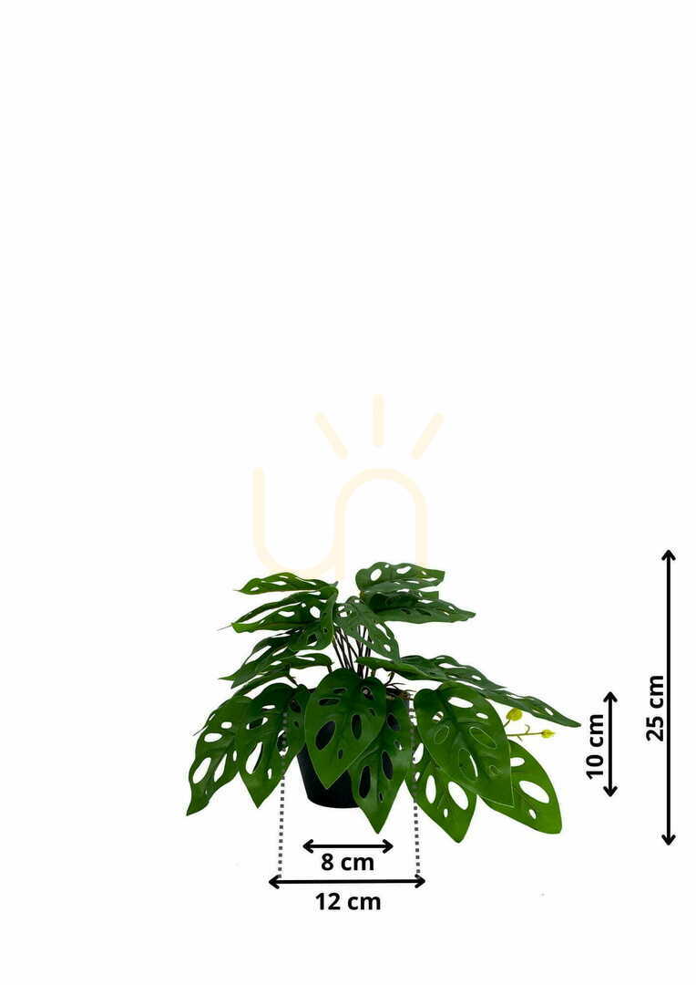 Pohled Umělá rostlina Monstera Monkey 25 cm Umělá rostlina Monstera Monkey 25 cm