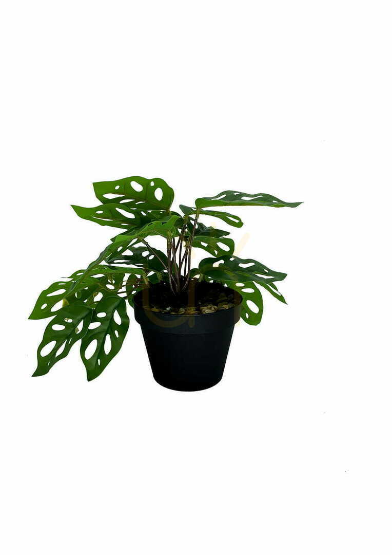 Náhled Umělá rostlina Monstera Monkey 25 cm Umělá rostlina Monstera Monkey 25 cm