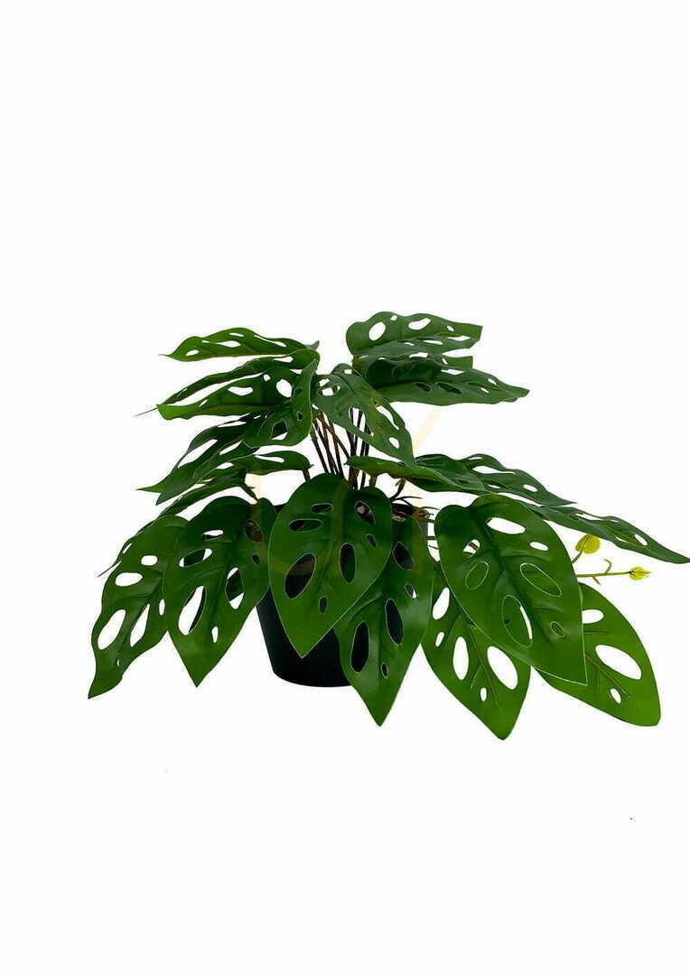 Kontrola Umělá rostlina Monstera Monkey 25 cm Umělá rostlina Monstera Monkey 25 cm