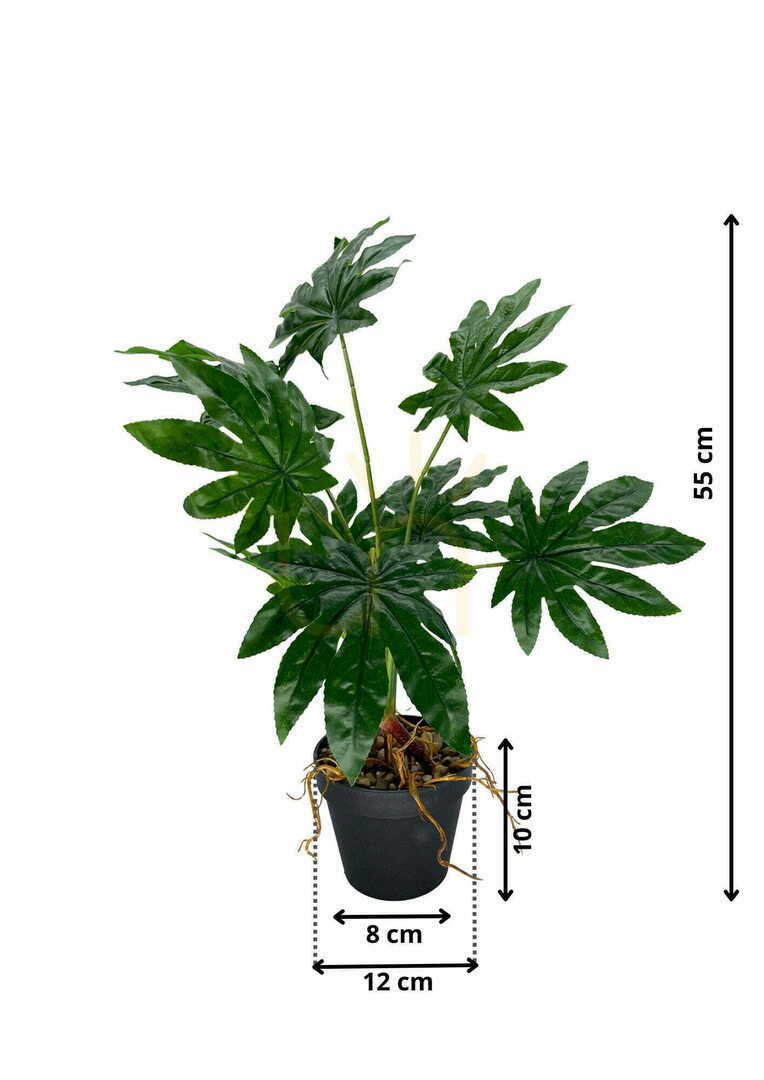 Pohled Umělá rostlina Aralia 55 cm Umělá rostlina Aralia 55 cm