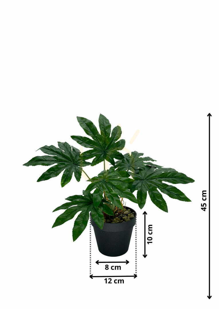 Pohled Umělá rostlina Aralia 45 cm Umělá rostlina Aralia 45 cm