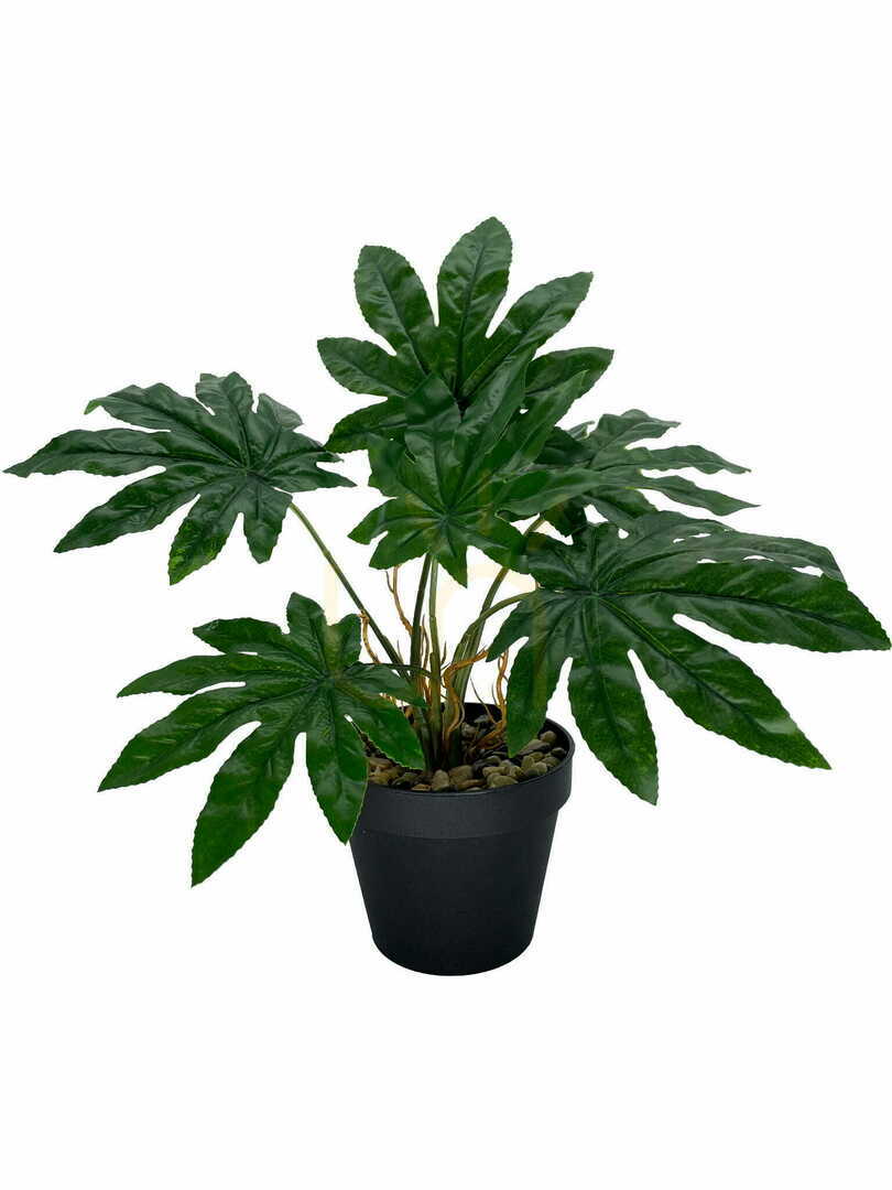 Náhled Umělá rostlina Aralia 45 cm Umělá rostlina Aralia 45 cm
