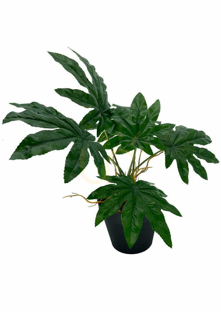 Zobrazit Umělá rostlina Aralia 45 cm Umělá rostlina Aralia 45 cm