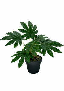 Umělá rostlina Aralia 45 cm 0 Umělá rostlina Aralia 45 cm small 0