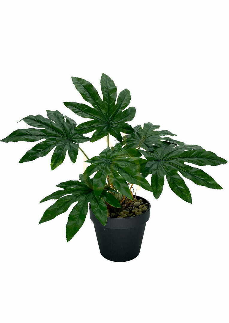 Kontrola Umělá rostlina Aralia 45 cm Umělá rostlina Aralia 45 cm