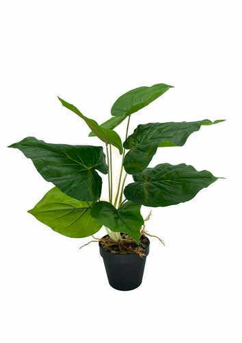 Kontrola Umělá rostlina Scindapsus 48 cm