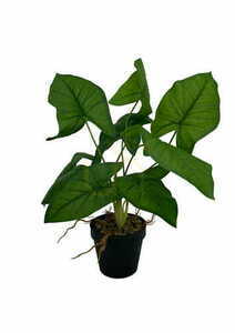 Umělá rostlina Syngonium 56 cm small 4