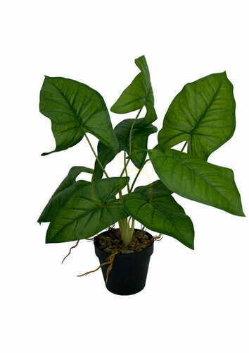 Kontrola Umělá rostlina Syngonium 56 cm