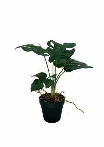 Kontrola Umělá rostlina Monstera 39 cm