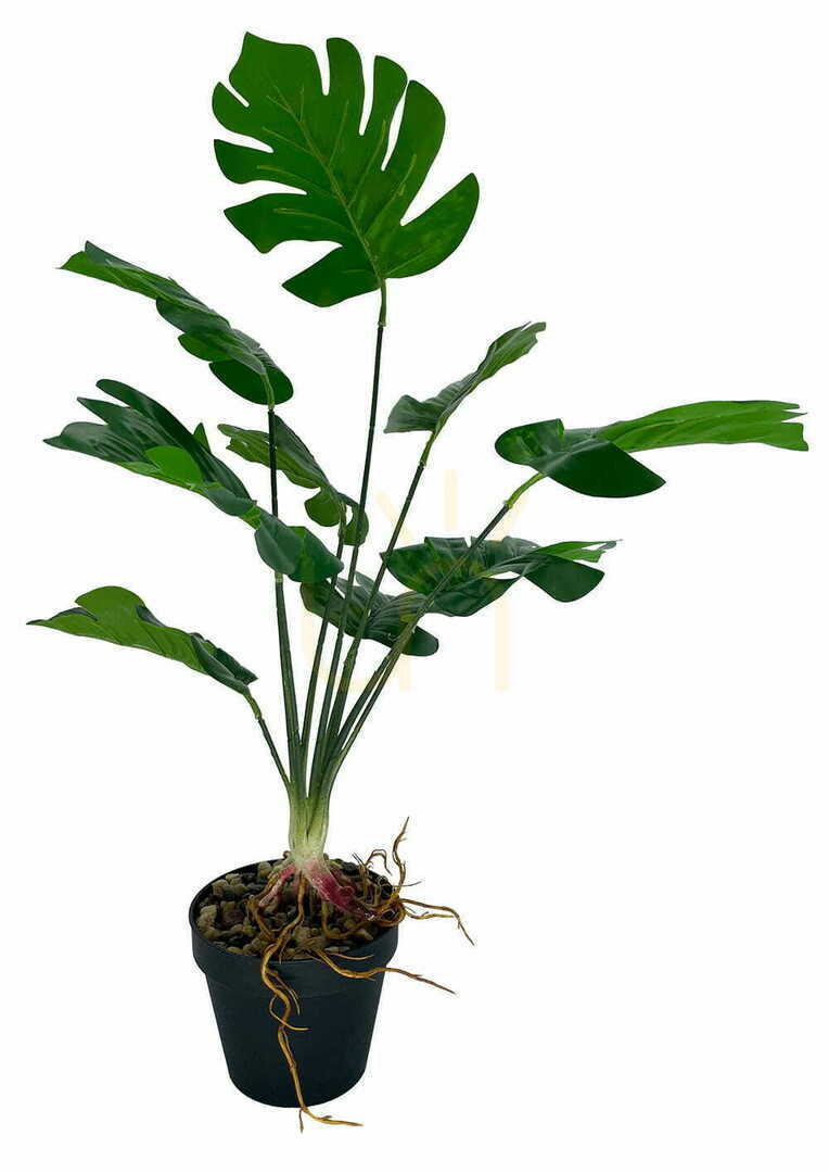Zobrazit Umělá dutá rostlina Monstera 52 cm Umělá dutá rostlina Monstera 52 cm