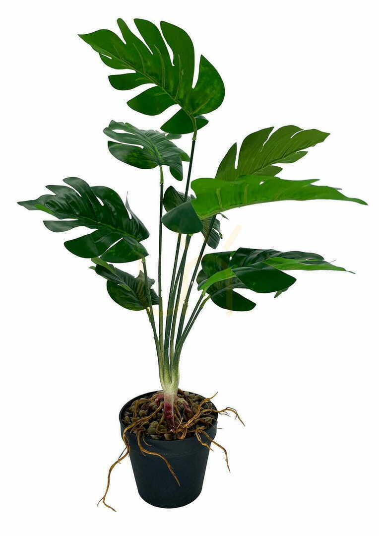 Kontrola Umělá dutá rostlina Monstera 52 cm Umělá dutá rostlina Monstera 52 cm