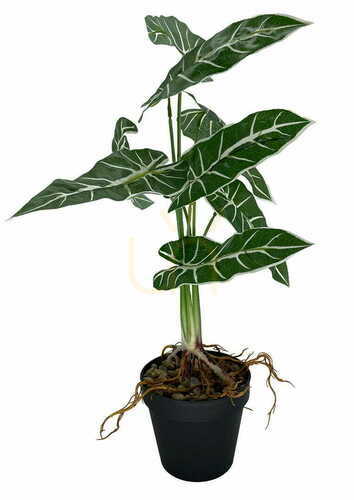 Kontrola Umělá rostlina Alokazia Amazonica 58 cm.