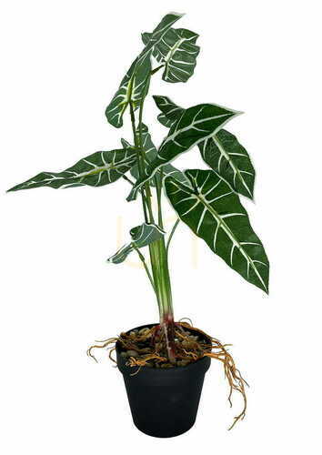 Kontrola Umělá rostlina Alokazia Amazonica 58 cm.