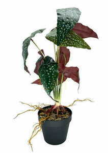 Umělá rostlina Begonia Rosie 47 cm small 2