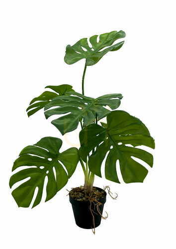 Kontrola Umělá rostlina Monstera 65 cm
