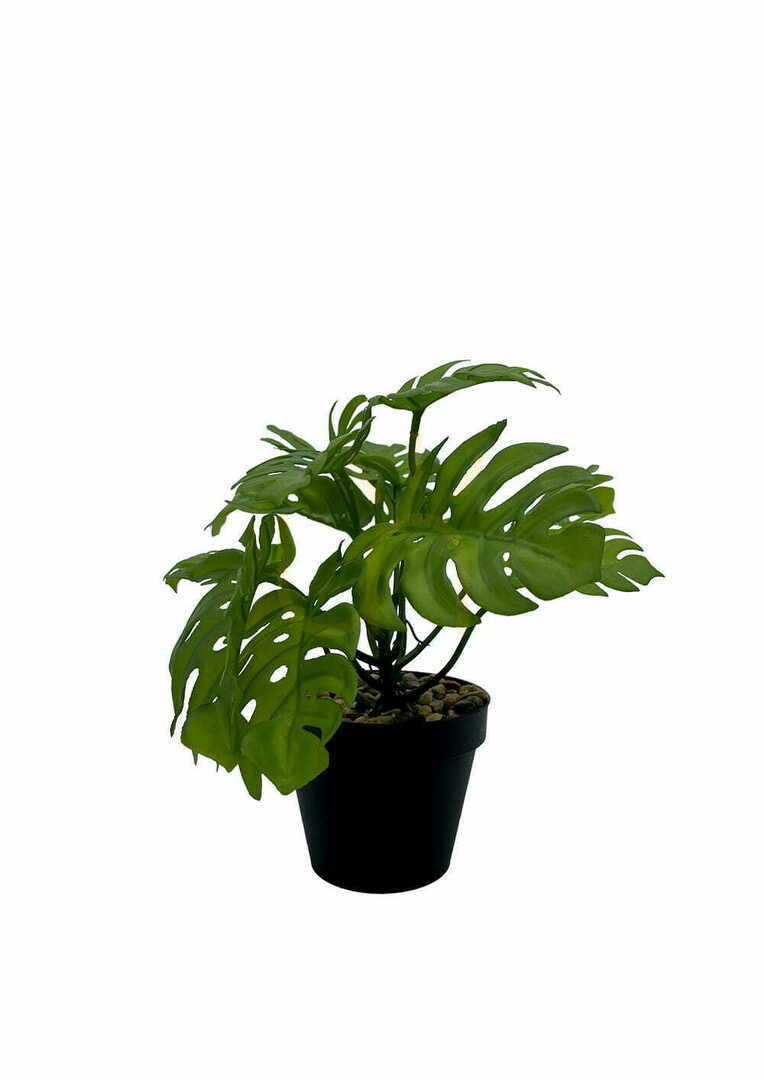 Zobrazit Umělá rostlina Monstera 20 cm Umělá rostlina Monstera 20 cm