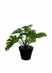 Umělá rostlina Monstera 20 cm 4 Umělá rostlina Monstera 20 cm small 4