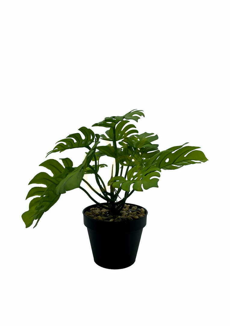 Zobrazit Umělá rostlina Monstera 20 cm Umělá rostlina Monstera 20 cm