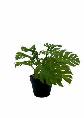 Kontrola Umělá rostlina Monstera 20 cm