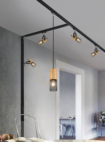 Kontrola Závěsné svítidlo do lišty Trio DUOLINE 73430132, matná černá a dřevo, 1×E27