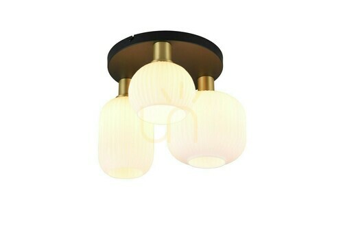 Kontrola Trio DIVA Plafond 619800308