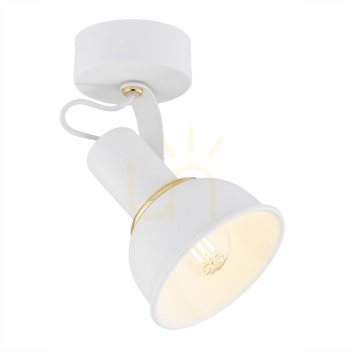 Kontrola Nástěnné svítidlo Argon TWIST bílé E14 IP20 4899