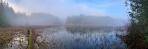 Nástěnná malba jezera v lese v mlze, Bongripper Pond - Shawnigan - Kanada small 1