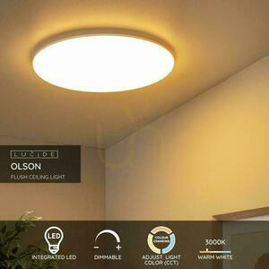 Plafon Lucide OLSON LED 45 cm bílý 3100 lm 3000-6500 K 79190/45/61 small 2