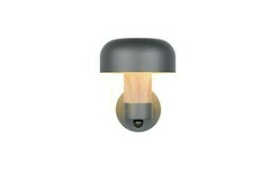 Venkovní nástěnná lampa Trio FRASER 262569135 small 1