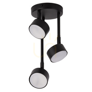 Stropní svítidlo Sigma NEMO 3xGX53 černé 40885 small 0