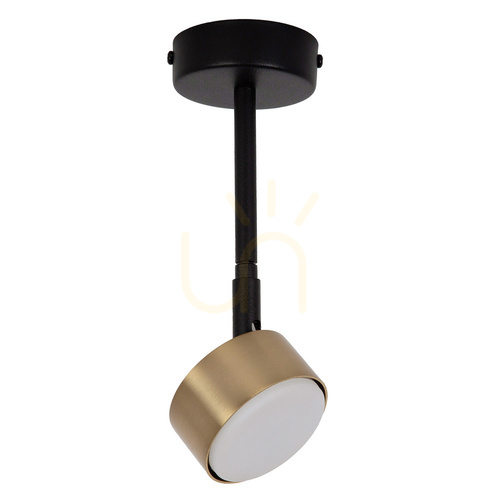 Kontrola Stropní svítidlo Sigma NEMO 1xGX53 černá/zlatá, SKU 41085