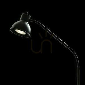 Černá stolní lampa se svorkou Rendl HARMONY R14377, GU10 max. 8 W small 3